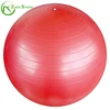 Zhensheng Free Air Pump Anti-Burst Slip-Resistant Yoga Balance Stability Swiss Ball for Fitness Exercise Training Yoga Ball