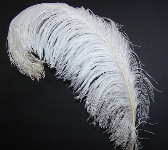 where can i purchase ostrich feathers