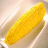 Dry Maize/Dried Yellow Corn/Dried Sweet Corn Best Price