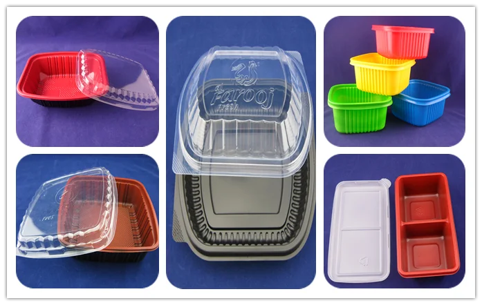 Disposable plastic 2 compartment takeaway lunch box