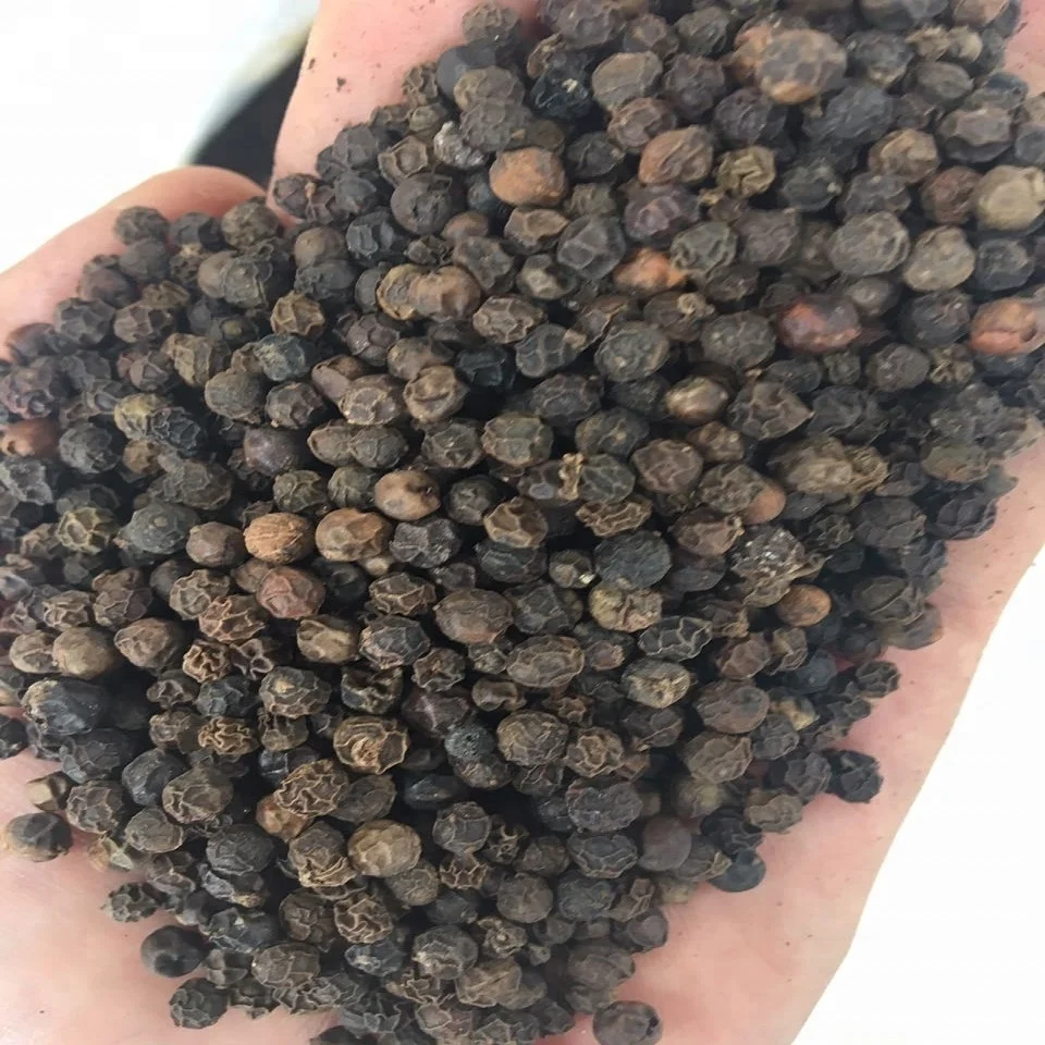 BLACK PEPPER 500 CLEAN ASTA 1.jpeg