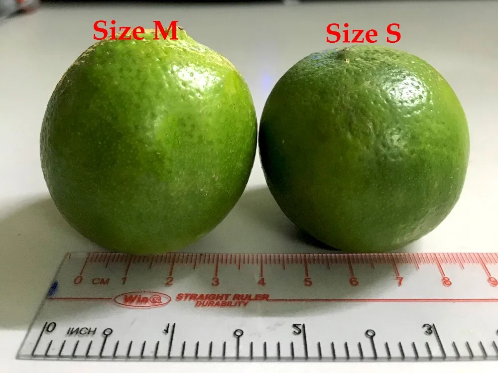 Bulk Lime Low Price / Lime Vietnam Export Standard +84845639639