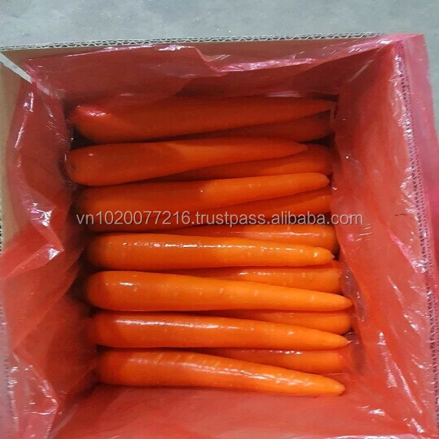 5t.jpg