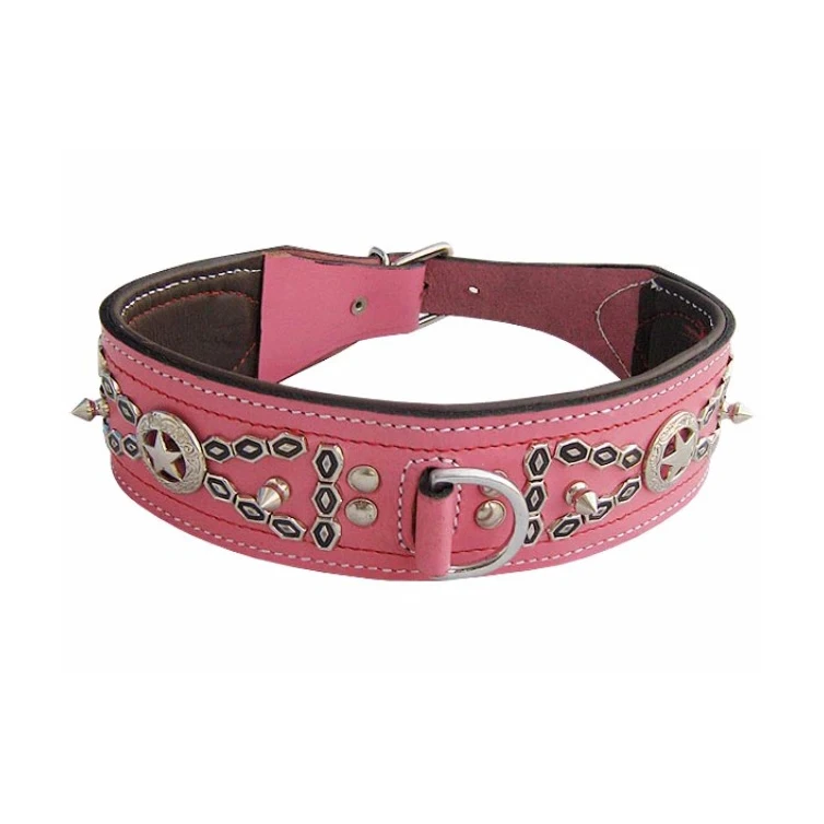 pink leather dog collar