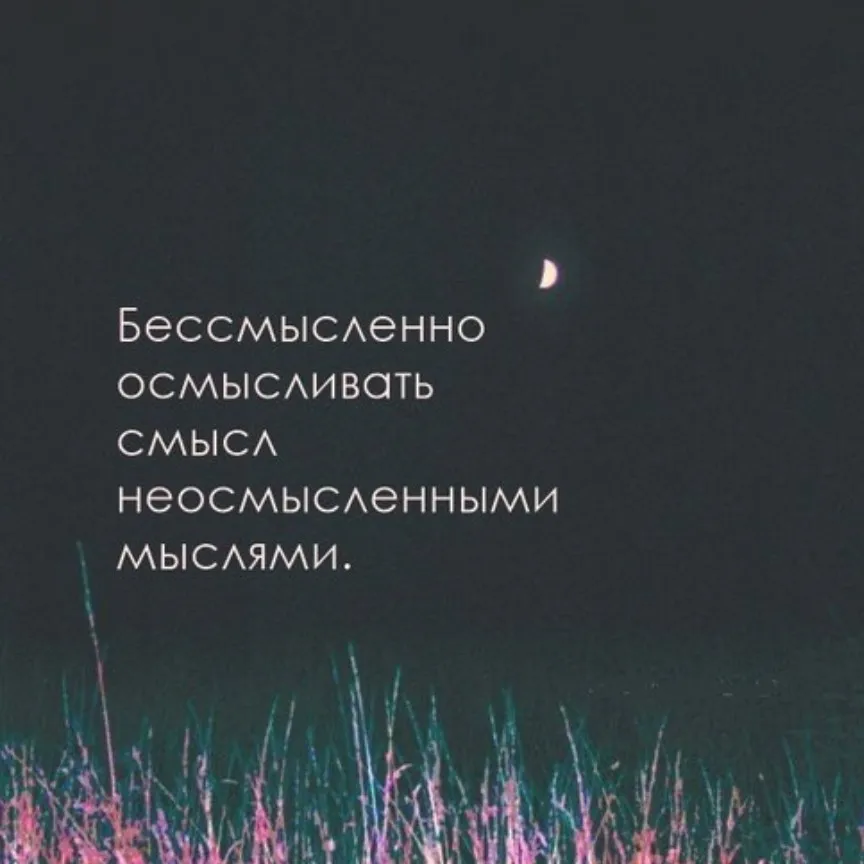 Бессмысленно осмысливать смысл. Бессмысленно осмысливать смысл