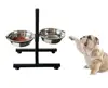 Ski Group Of Big Dog Stand Double Diner Dog Bowl