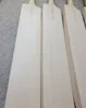NEW Light pick up 2.10lbs Plain English Willow Cricket Bats