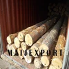 SPRUCE, PINE, BIRCH WOOD LOGS