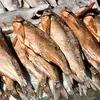 Dried Whole Stock Fish Affordable Price