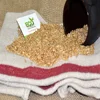 Premium grade Wheat sortex cleaned