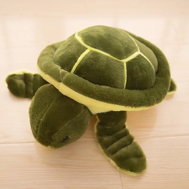 shy turtle plush