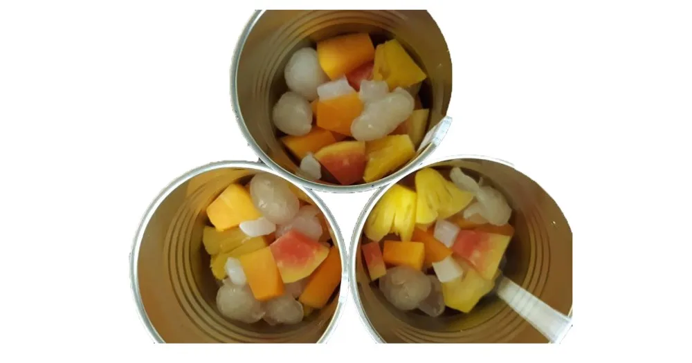 Canned Tropical Fruit Cocktail/ Mixed Fruits Nata de Coco in Light