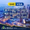 /product-detail/dubai-visit-visa-30-days--50046204464.html