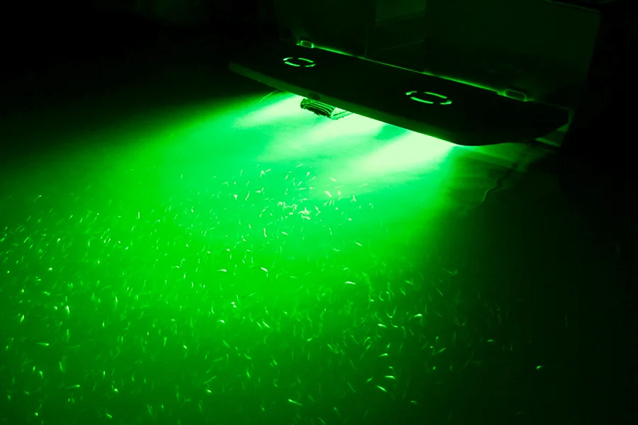 Прожектор в воду. Подсветка для катера лодки ip67 RGB. Pl1 подсветка подводная. Светильник hj8060 Underwater Light. Подводная подсветка для катера.