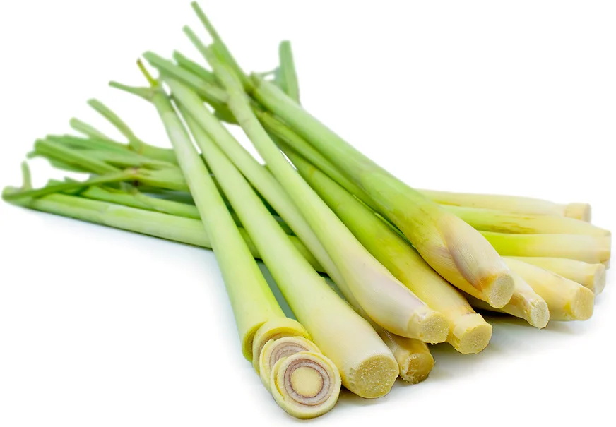 Organic Lemon Grass Price - Buy Lemon Grass,Lemon Grass Price,Organic ...