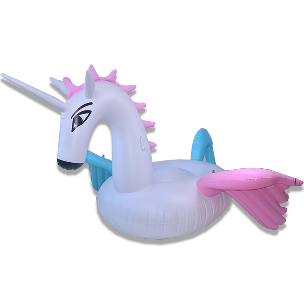 pegasus floatie