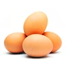 /product-detail/best-quality-chicken-eggs-from-ukraine-white-brown-fresh-eggs-62002784416.html