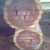 WOOD LOGS FROM CAMEROON BUBINGA SAWN WOOD LOGS