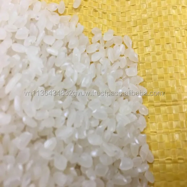 JAPONICA 2% BROKEN 36.jpg