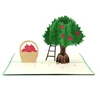 Apple picking pop up cards wholesale very wide range of designs