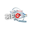 Professional SEO Link Building From India