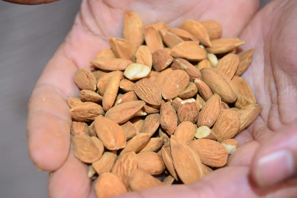 Almonds Sliced Powder Bags Bulk 1000g Peeled Without Shell Buy Raw Almonds,Almonds Powder