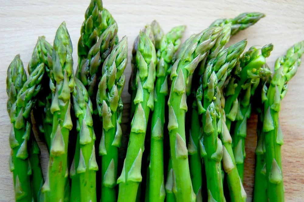 fresh asparagus/asparagus plants   whatsapp 84-845-639-639 - buy