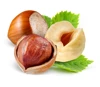 Blanched Hazelnuts, Hazelnuts Inshell/Blanched Hazel Nuts