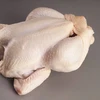 /product-detail/wholesale-frozen-whole-chicken-62006597614.html