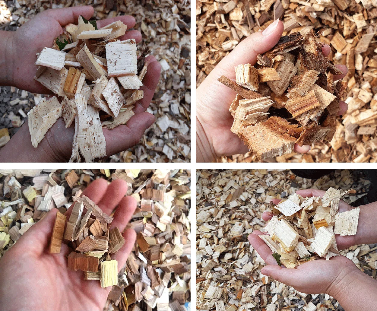 Rubber Wood Chip For Grill Bbq Wood Chips From Thailand Buy Wood Chip