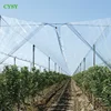 Wholesale Polythene woven coated plastic greenhouse film Fruit Tree Top Cover for Chile Brazil cherry tree, grape tree