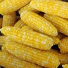 HIGH QUALITY GRADE 1 YELLOW CORN & WHITE CORN/MAIZE FOR HUMAN & ANIMAL FEED AVAILABLE