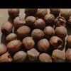 Indonesia Nutmeg With Shell