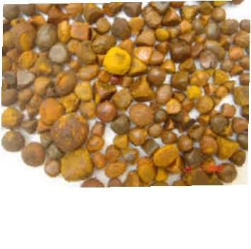 ox gallstones high quality cow gallstones yellow ox gallstone