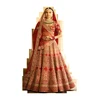 Indian Wedding Clothing / Exclusives Wedding Lehenga / Fashion Bridal Lengha