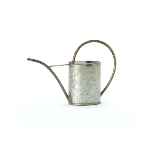Classic Gold Watering Can For Plants Buy Iron Watering Cans