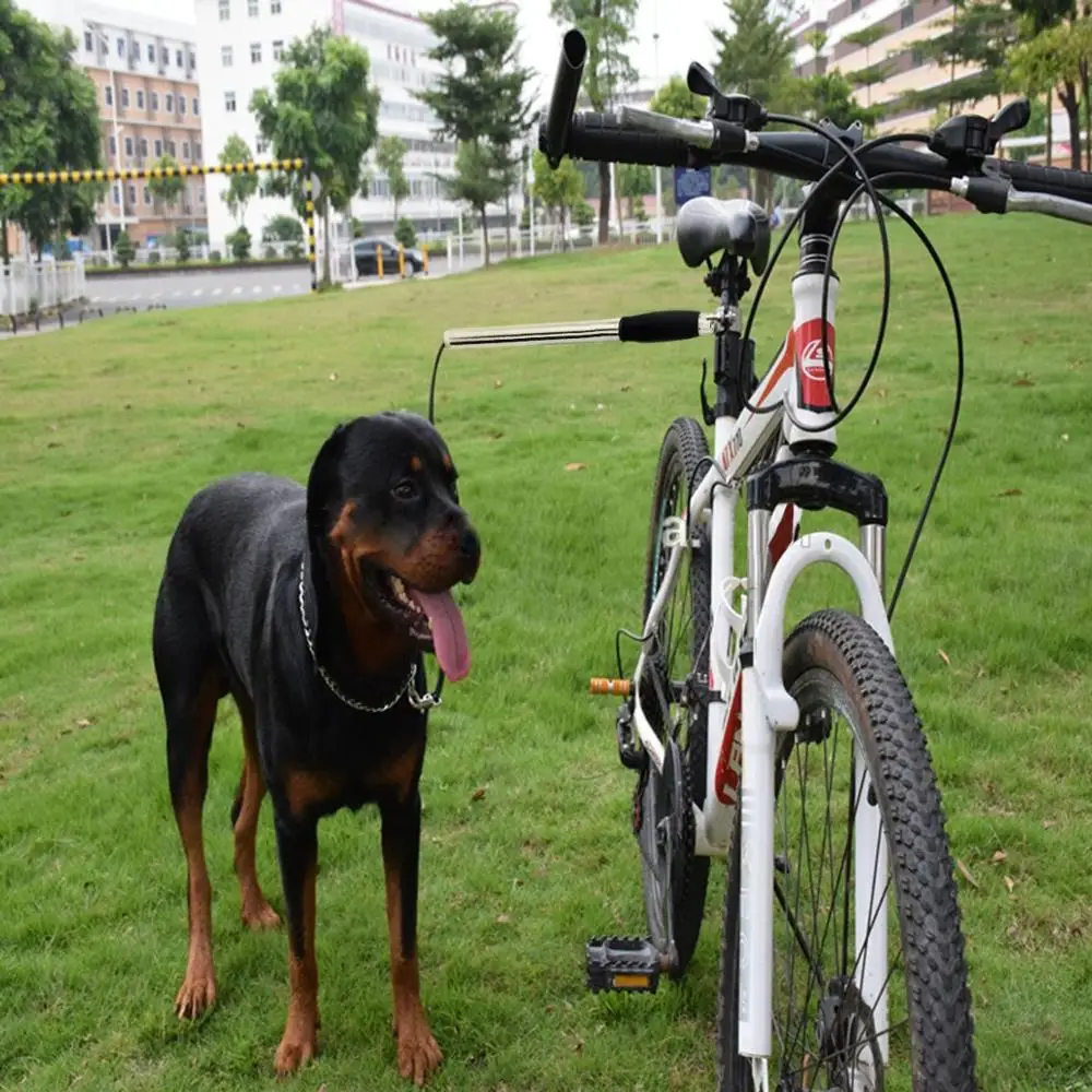 dog bicycle leash