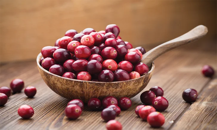 cranberry extract in tablet