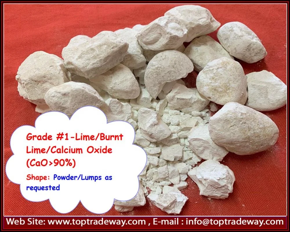 
Quick Lime/Calcium Oxide/Burnt Lime-EINECS No.:215-138-9 