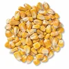 Human Consumption Yellow Corn