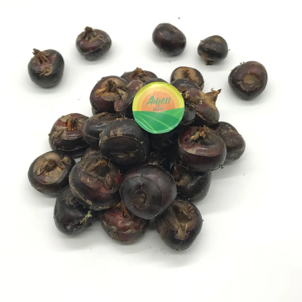 批发水栗子-低价格