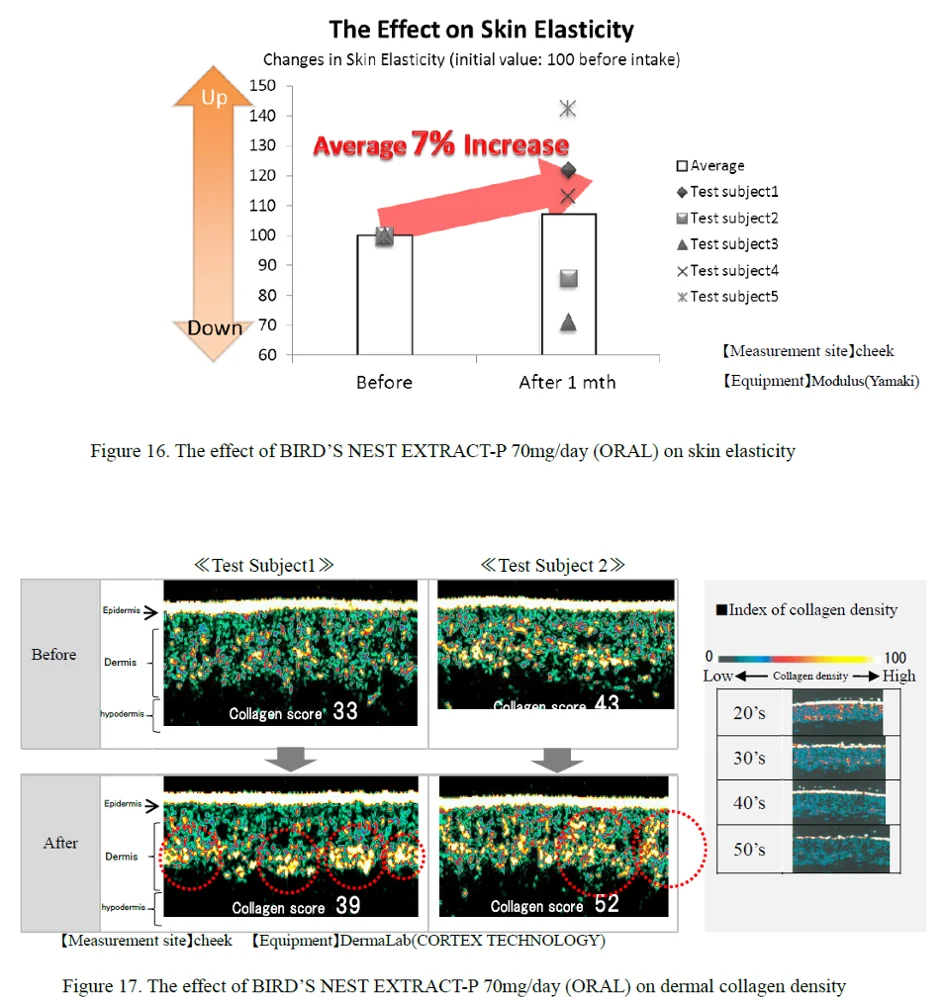Japanese Bird's ( Swiftlet ) Nest Extract Powder And Liquid For Health