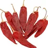 Hot And Spicy Premium quality Indian dry red chilli