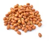 High Quality Groundnut Kernels Peanuts