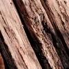 Wood Pellet For The Lowest Price It Can Be