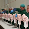 100% Clean Premium Chicken 2nd joint wing of the highest standard