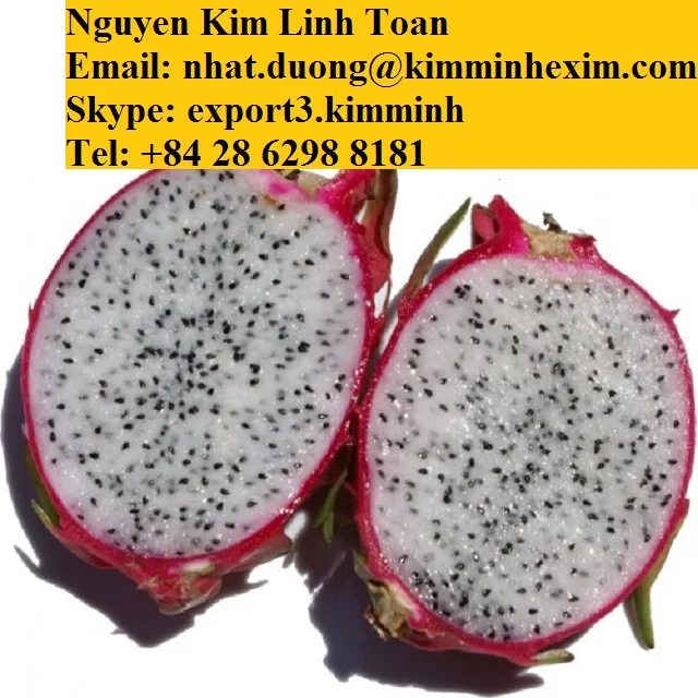Frozen Fruit/ Frozen Dragon Fruit Pulp Iqf Vacuum Pack Common Bulk