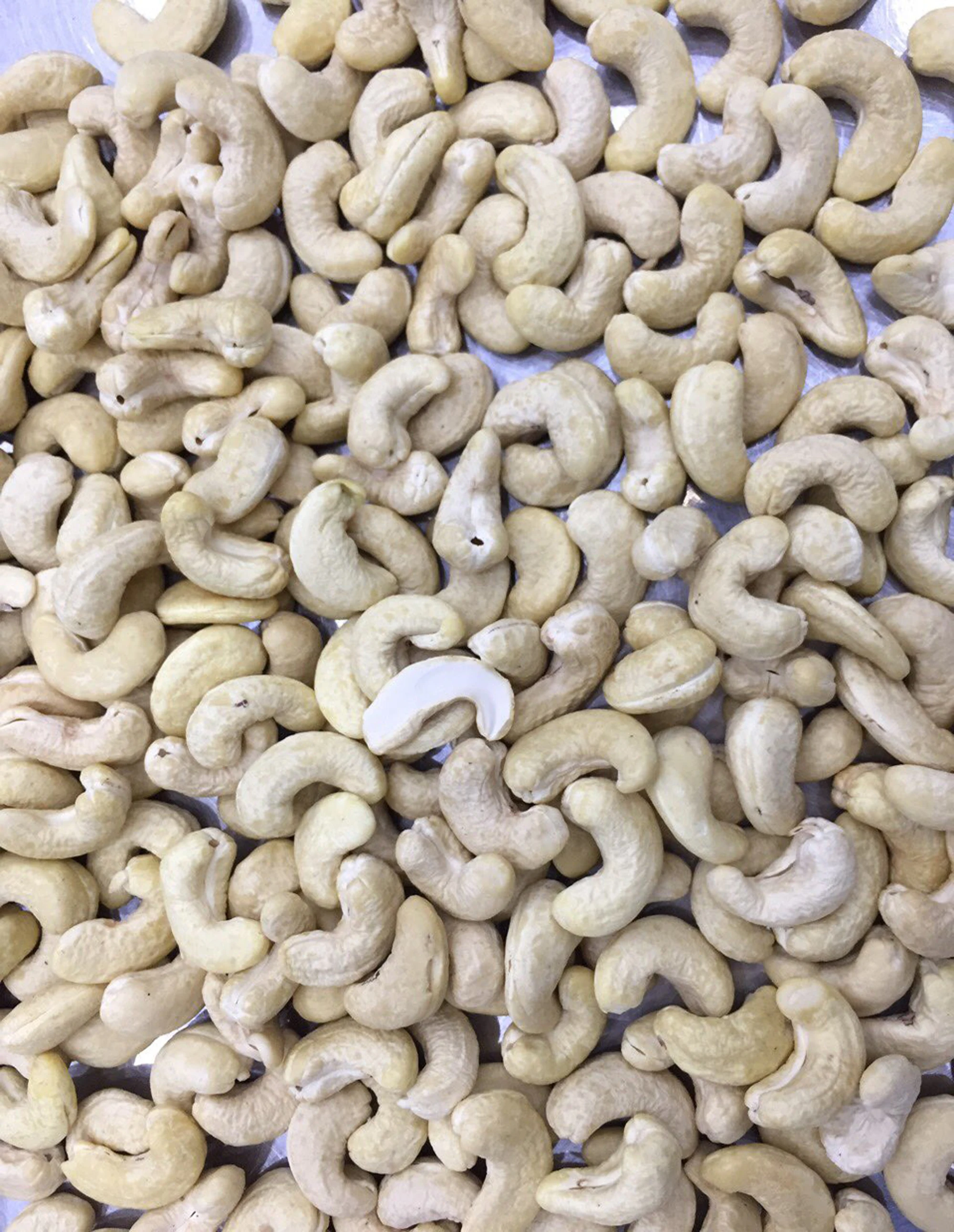 Cashew nut WW450.3alibaba.jpg