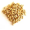 Recently 2019 Barley Grain and Forage for Beef Cattle/ Barley Animal Feed - Grain/ Rolled Feed Barley