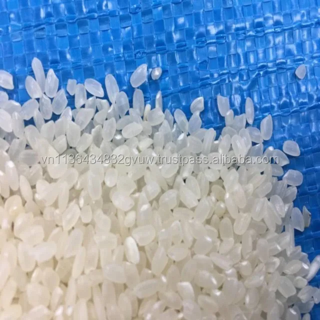 JAPONICA 2% BROKEN 11.jpg